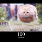 HTTP Status Cats