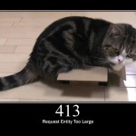 HTTP Status Cats